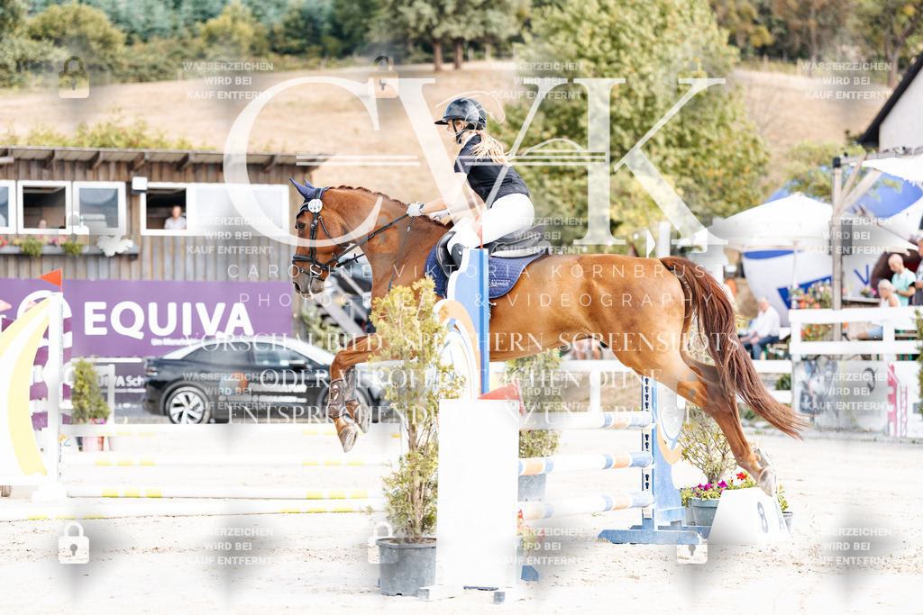 CK909005 | Turnierfotografie Pferdefotografie Trier Rheinland-Pfalz Pferdesport Reitsport Tierfotografie Sportfotografie Pferdevideo Pferdevideografie Equestrianvideography equestrianphotography  - Realisiert mit Pictrs.com