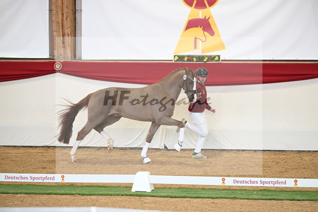Kat.-Nr. 55 v. Ellis_Senf _ Kampmann_2250398 | hf-fotografie - Realisiert mit Pictrs.com