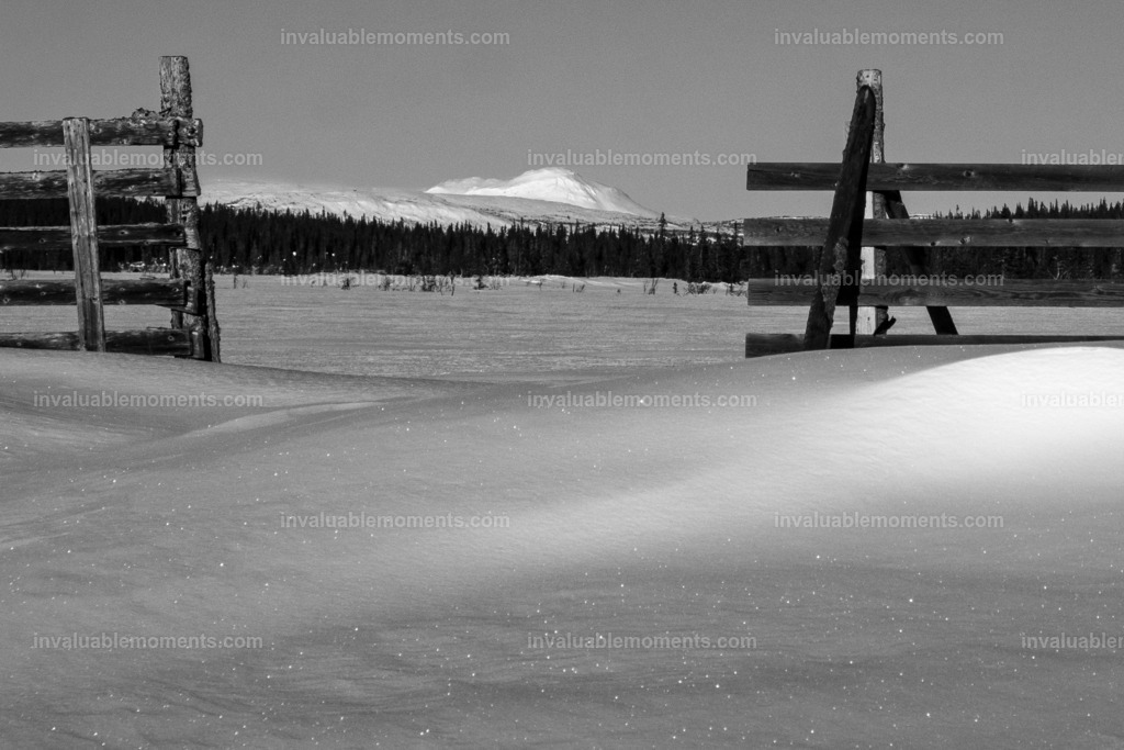 DSCF2552 | invaluablemoments.com - Realisiert mit Pictrs.com