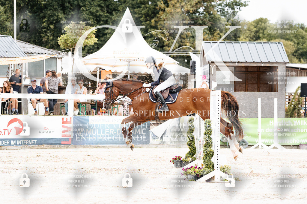 CK907928 | Turnierfotografie Pferdefotografie Trier Rheinland-Pfalz Pferdesport Reitsport Tierfotografie Sportfotografie Pferdevideo Pferdevideografie Equestrianvideography equestrianphotography  - Realisiert mit Pictrs.com