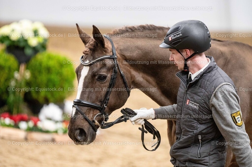 20260307_Hengstvorstellung-Marbach_0552 | equistock