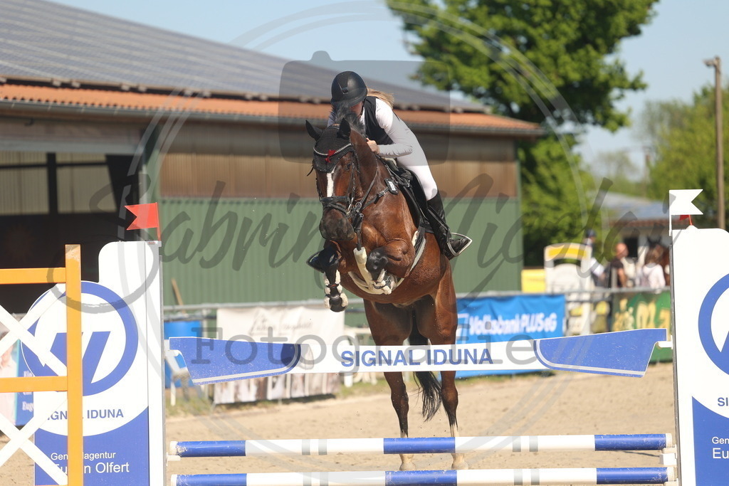 994A6059 | sabrinanicolaifotografie - Realisiert mit Pictrs.com