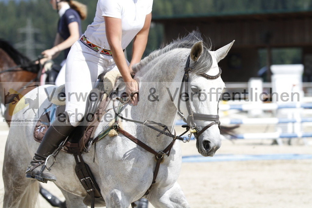 _MG_5210 | equestrian-live-com