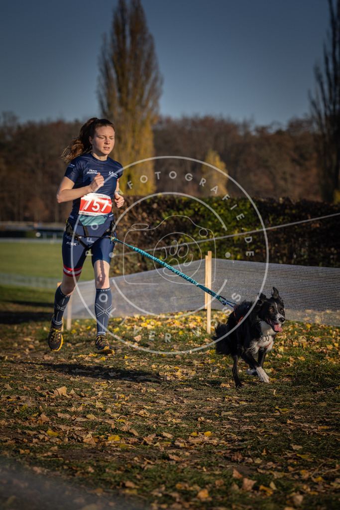 CaniXpix_DV3A2590 | Hundefotografie, Tierfotograf, Pfotenfotografie, Fotoshooting Hund, Hunde Portrait, Hundesport, Hundeportraits, Heideshooting, Hunde, Sportfotograf, Hundefotograf, Turnierhundsport, THS,  - Realisiert mit Pictrs.com