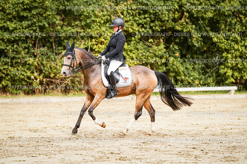 DSC02885 | Pferdegrafie