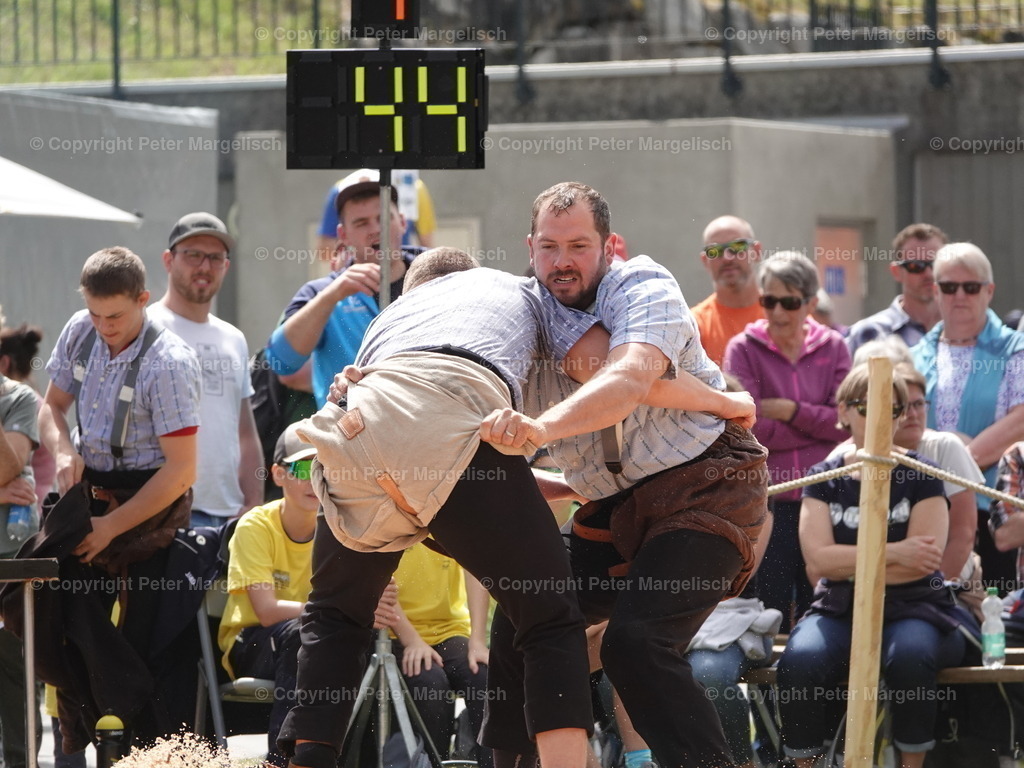 DSC07419 | Schwingen - Realisiert mit Pictrs.com