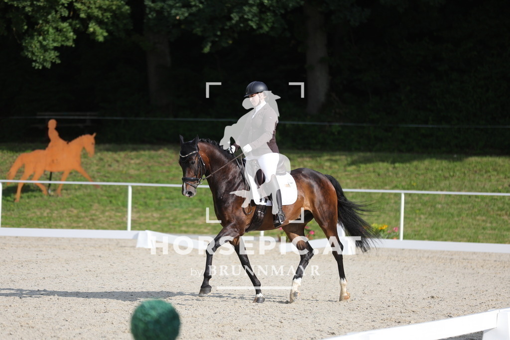0P6A8525 | Willkommen bei Brunnmayr - Design & Fotografie – Ihrem Spezialisten für Reitturniere und Pferdeveranstaltungen in Oberösterreich, Salzburg und Bayern! Seit über 17 Jahren sind wir leidenschaftlich dabei.