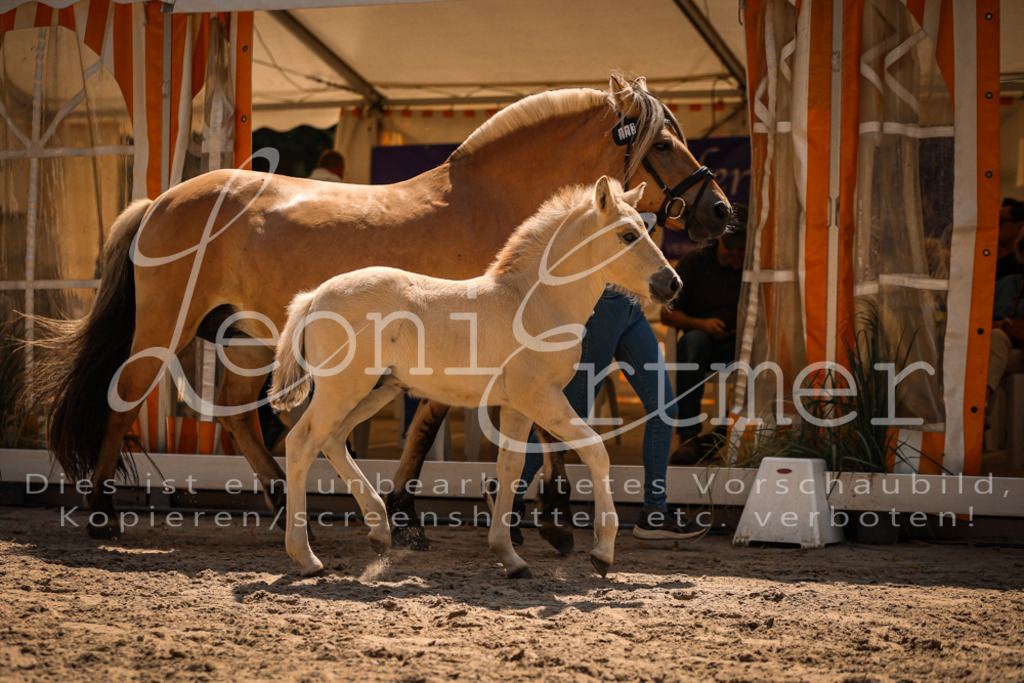 05.DoF00094 | Leoni Ertmer Photography - Realisiert mit Pictrs.com