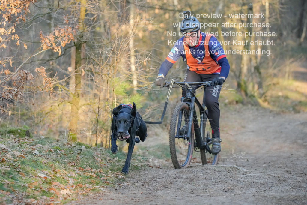 Sa_Bike-224 | stephaniefillaphotographie - Realisiert mit Pictrs.com