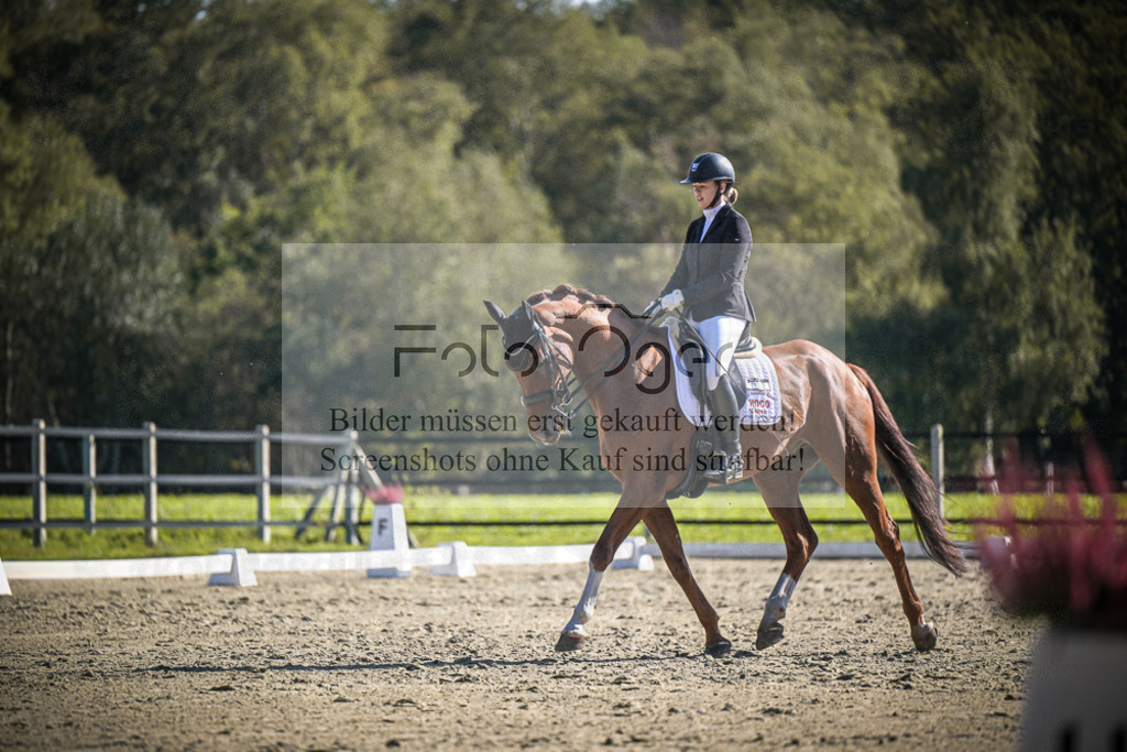 DOS_3184 | Entdecke hochwertige Reitturnierfotos von Foto Oger. Professionell, emotional und authentisch – jetzt Lieblingsmomente im Shop bestellen.Deutschlandweite Turnierfotografie. - Realisiert mit Pictrs.com