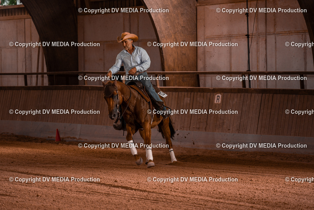 NE300823 | dv-media-shop - Realisiert mit Pictrs.com