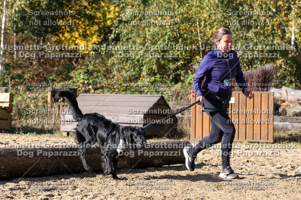 Dog Paparazzi - Strongdog 10-25-4775 | Dog Paparazzi Jeanette Grottendiek Fotografie & Videografie - Realisiert mit Pictrs.com