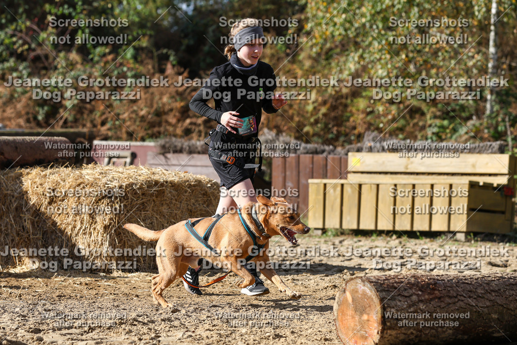 Dog Paparazzi - Strongdog 10-25-4933 | Dog Paparazzi Jeanette Grottendiek Fotografie & Videografie