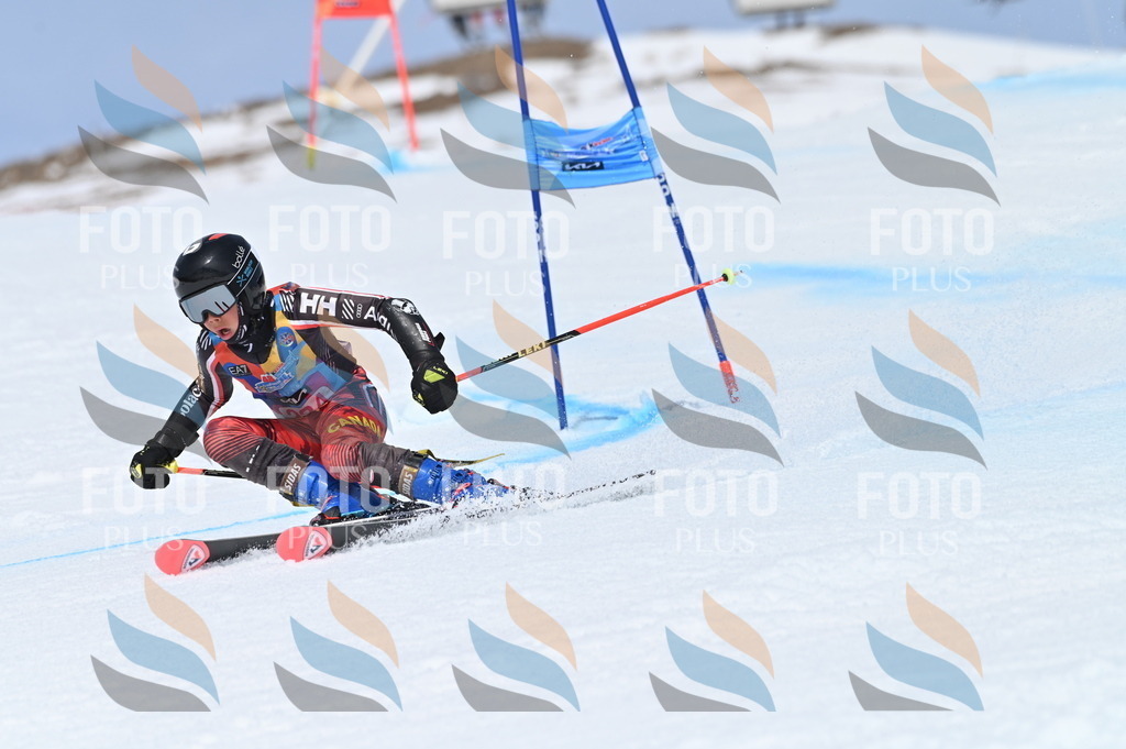 BGV_1584 | holidayphoto