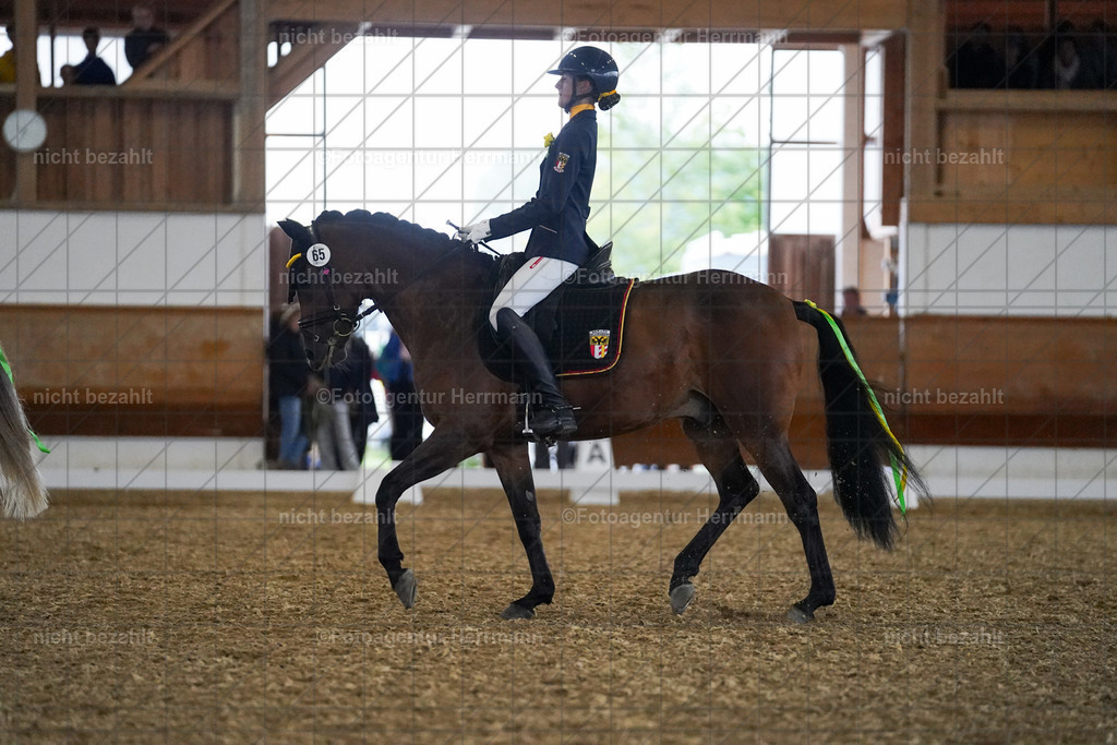 20240825-FAH08972 | Turnierbilder, Reitsportfotos, LAPO, Landesponyturnier, Turnierfotografen Bayern