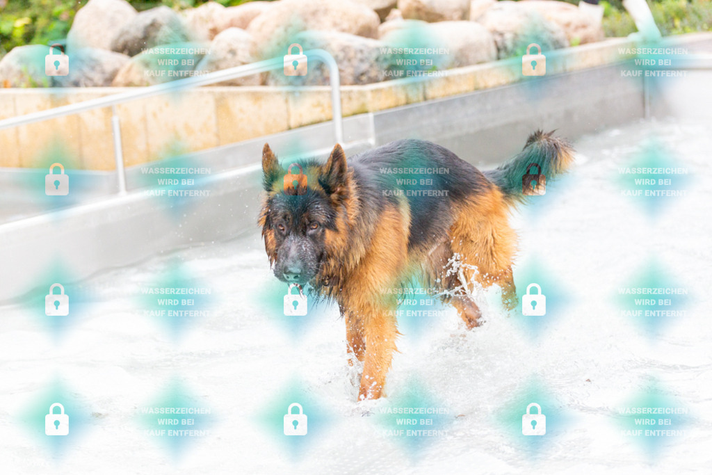 _HP_7374_1000o | HetPix, HetPix Fotodesign, Fotografie, Fotodesign, Webshop, Sportfotografie, Portraitfotografie, Onlineshop, Sportfotografie, Polch, Motorsportfotografie, Eventfotografie