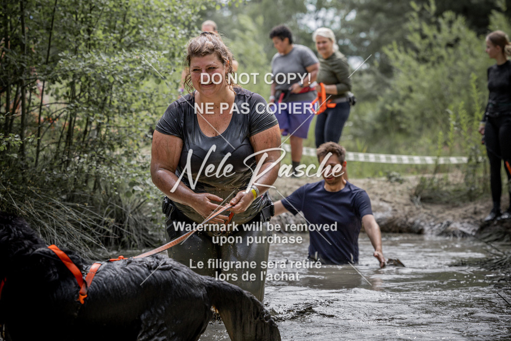 nelerasche_so1330-1400_224 | nelerasche