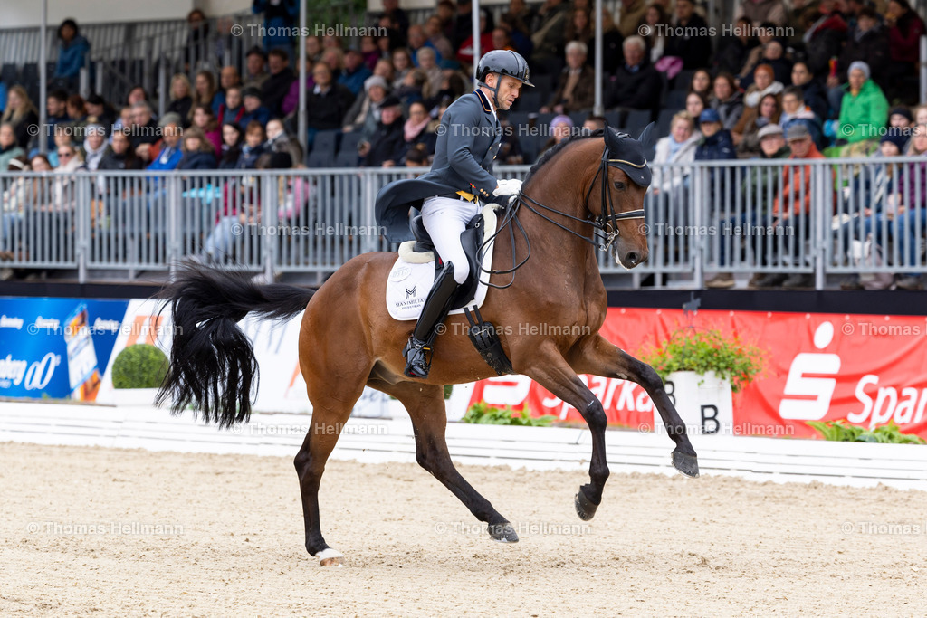 TH_311-CARRASCOSA Borja (GER)_ Franky Di Fonteabeti_21799 | CHI Donaueschingen 2024 am 14.09.24 in Donaueschingen, 311CARRASCOSA Borja (GER), Franky Di Fonteabeti