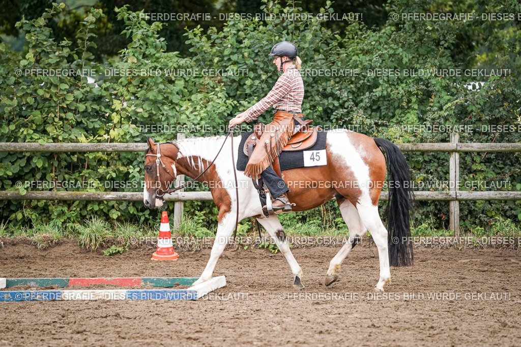 DSC02734 | Pferdegrafie