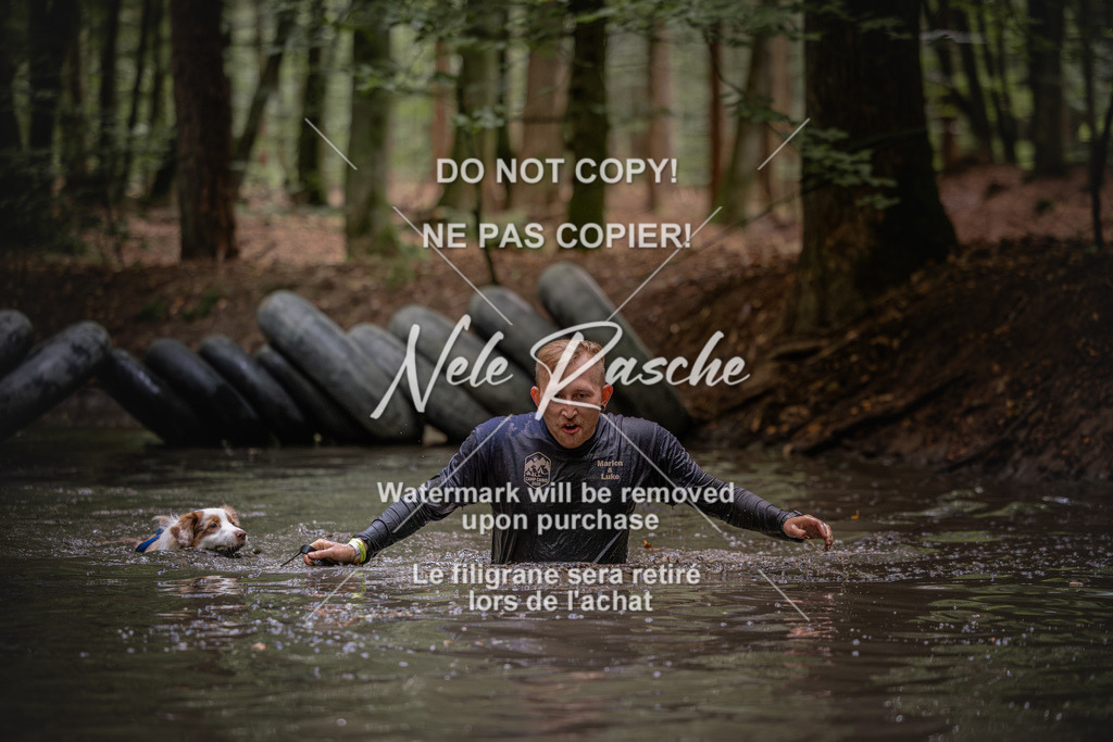 nelerasche_SaWingst1400-1500_243 | nelerasche