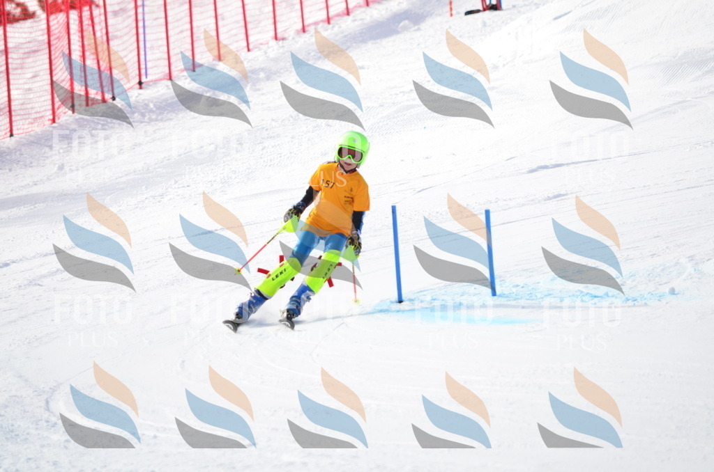 C7806 | holidayphoto