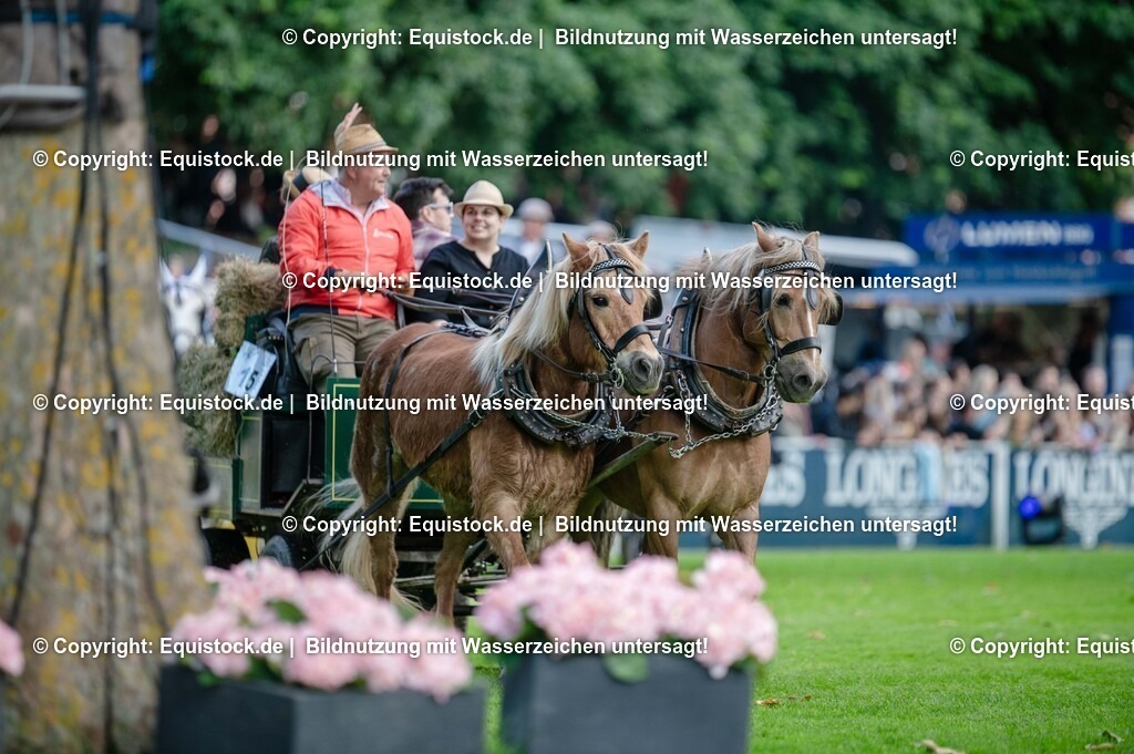 20250606_Lange-Pferdenacht_0101 | Foto: Thomas Hartig