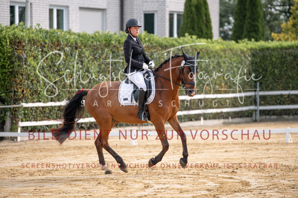 Schugtsche-Aluta25-40.DressurprfA_-113 | Schugtsche Fotografie - Realisiert mit Pictrs.com