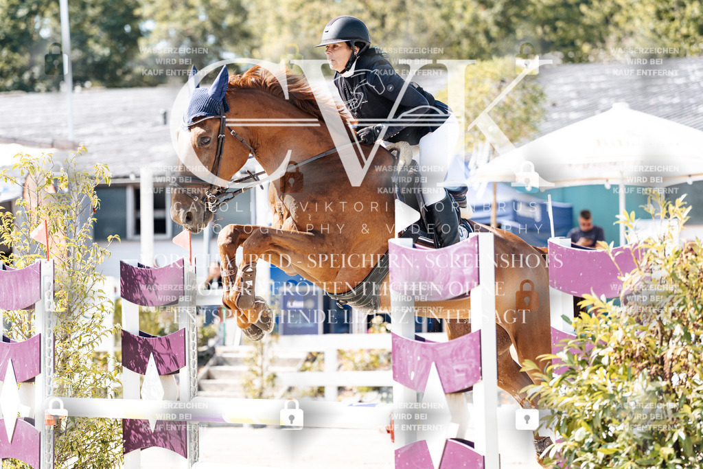 CK908431 | Turnierfotografie Pferdefotografie Trier Rheinland-Pfalz Pferdesport Reitsport Tierfotografie Sportfotografie Pferdevideo Pferdevideografie Equestrianvideography equestrianphotography  - Realisiert mit Pictrs.com