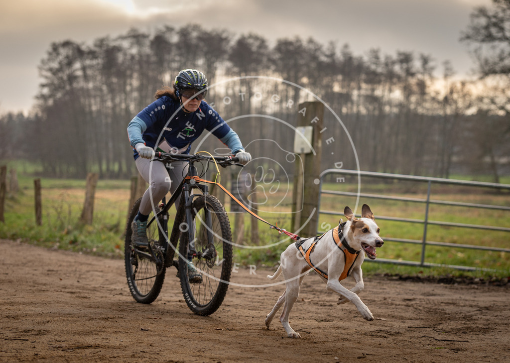 Pfotenfotografie_DV3A1770 | Hundefotografie, Tierfotograf, Pfotenfotografie, Fotoshooting Hund, Hunde Portrait, Hundesport, Hundeportraits, Heideshooting, Hunde, Sportfotograf, Hundefotograf, Turnierhundsport, THS,  - Realisiert mit Pictrs.com