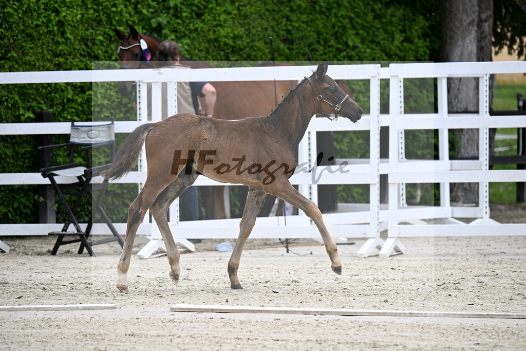 Kat-Nr. 4 Bonhoeffer x Danone_Zweckl_25240347 | hf-fotografie - Realisiert mit Pictrs.com