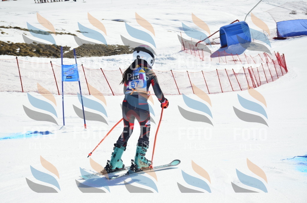 _ELE0207 | holidayphoto