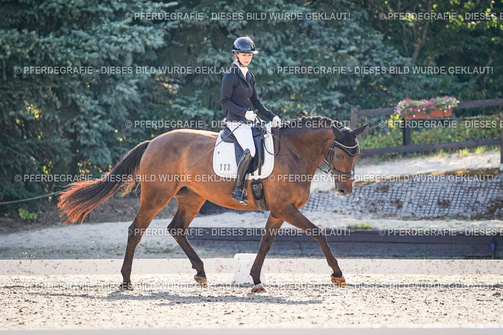 DSC09434 | Pferdegrafie