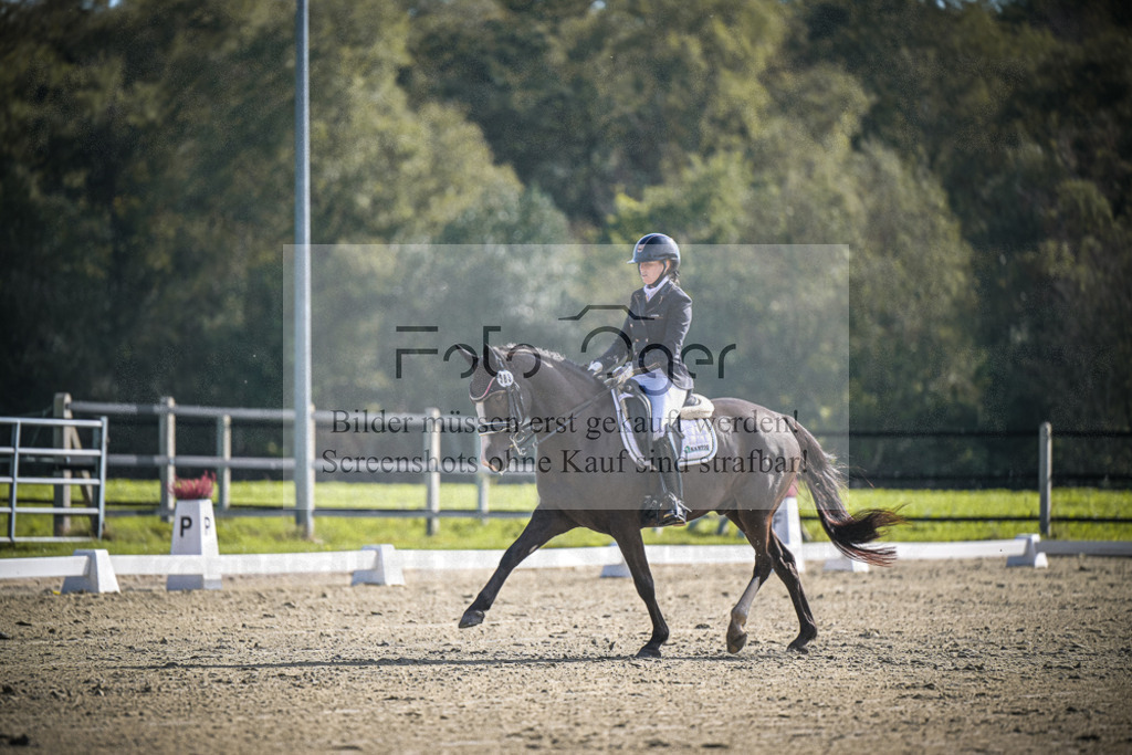 DOS_0707 | Entdecke hochwertige Reitturnierfotos von Foto Oger. Professionell, emotional und authentisch – jetzt Lieblingsmomente im Shop bestellen.Deutschlandweite Turnierfotografie. - Realisiert mit Pictrs.com