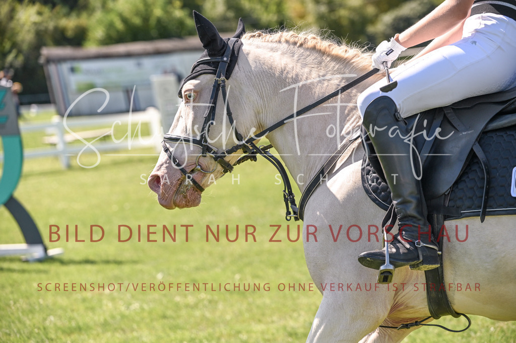 Schugtsche-Düren.2024.04-Stilspringprf.E-21 | Schugtsche Fotografie - Realisiert mit Pictrs.com