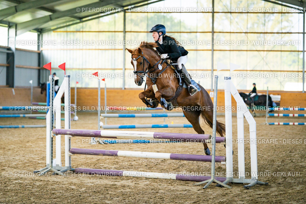 DSC00465 | Pferdegrafie