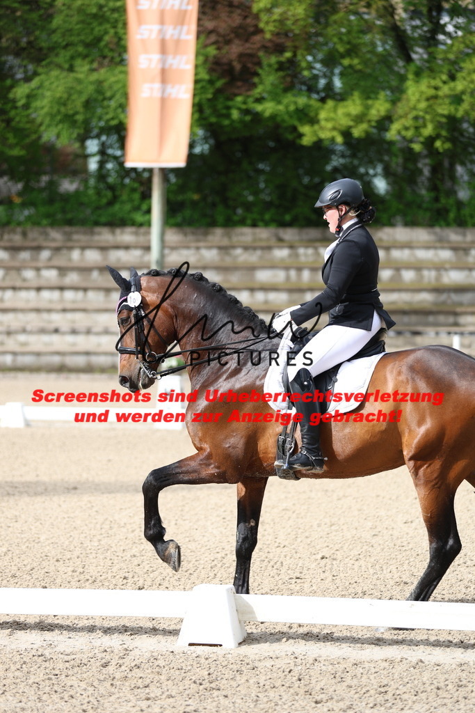 A40A0442 | lmwpictures - Realisiert mit Pictrs.com