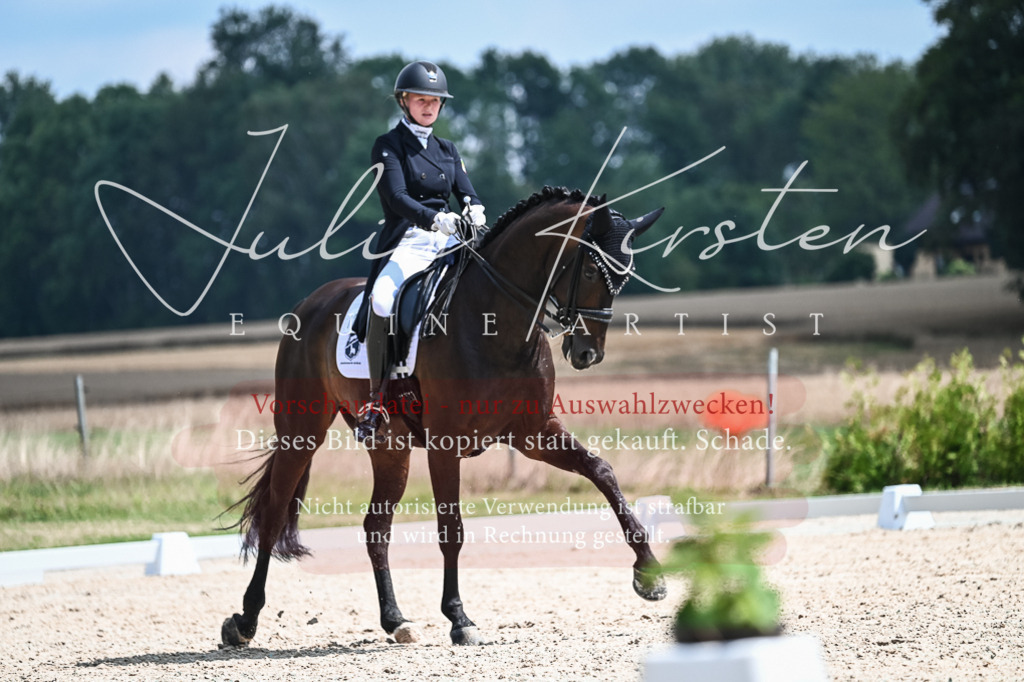 DSC_2332 | Pferde- und Turnierfotografie in Westsachsen. Pferdeportraits, Auftragszeichnungen und intuitive Kunst.