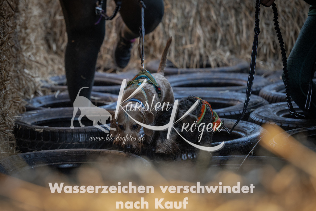 0924_ZZ92868 | kk-dogfotos