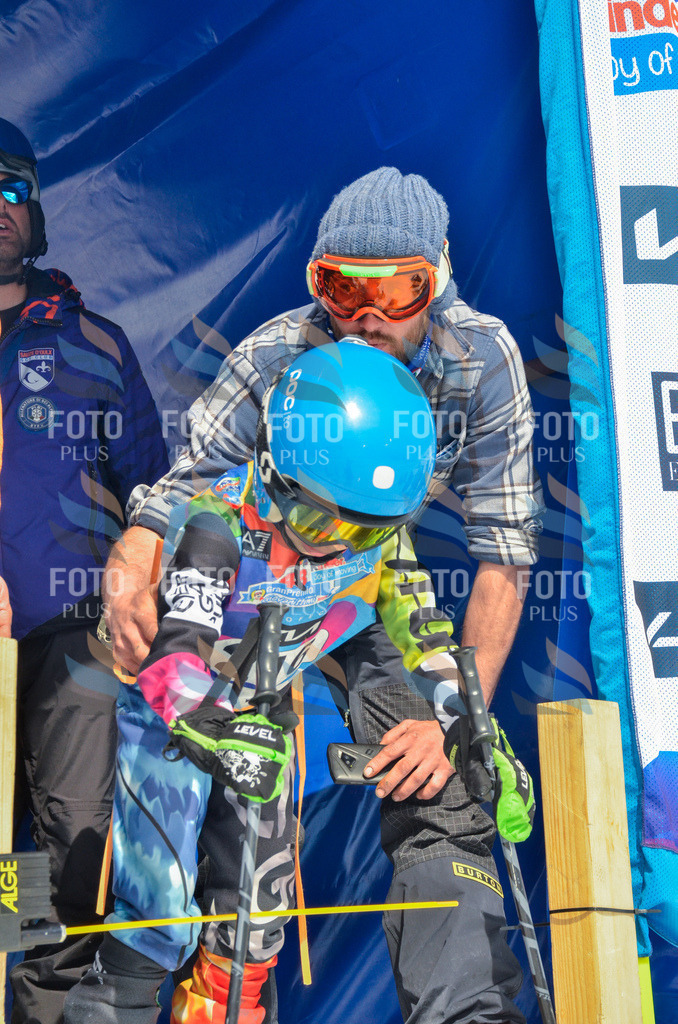 _ELE7110 | holidayphoto