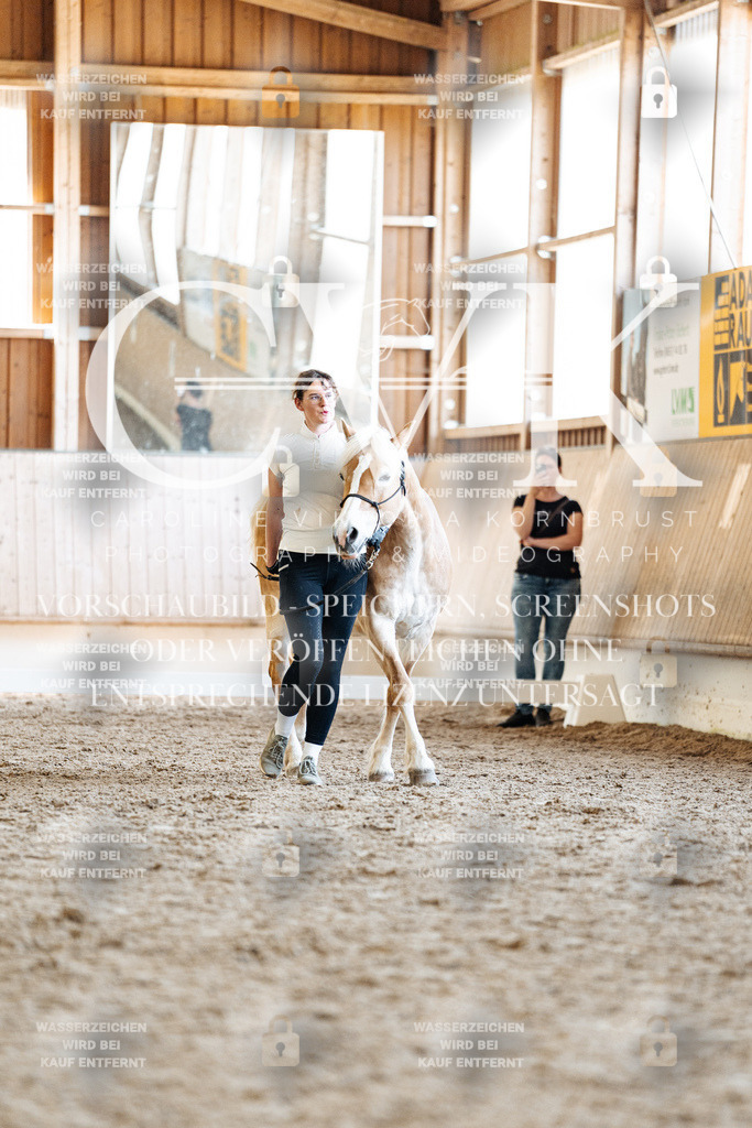 CK907323 | Turnierfotografie Pferdefotografie Trier Rheinland-Pfalz Pferdesport Reitsport Tierfotografie Sportfotografie Pferdevideo Pferdevideografie Equestrianvideography equestrianphotography  - Realisiert mit Pictrs.com