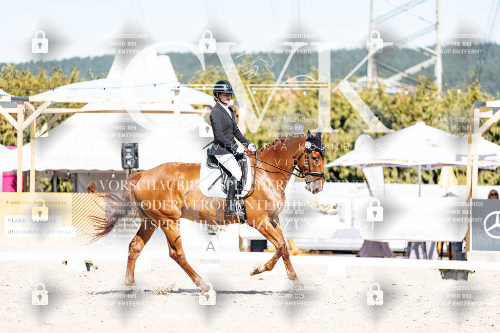 CK908741 | Turnierfotografie Pferdefotografie Trier Rheinland-Pfalz Pferdesport Reitsport Tierfotografie Sportfotografie Pferdevideo Pferdevideografie Equestrianvideography equestrianphotography  - Realisiert mit Pictrs.com