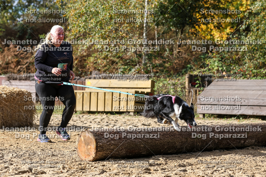 Dog Paparazzi - Strongdog 10-25-5356 | Dog Paparazzi Jeanette Grottendiek Fotografie & Videografie - Realisiert mit Pictrs.com