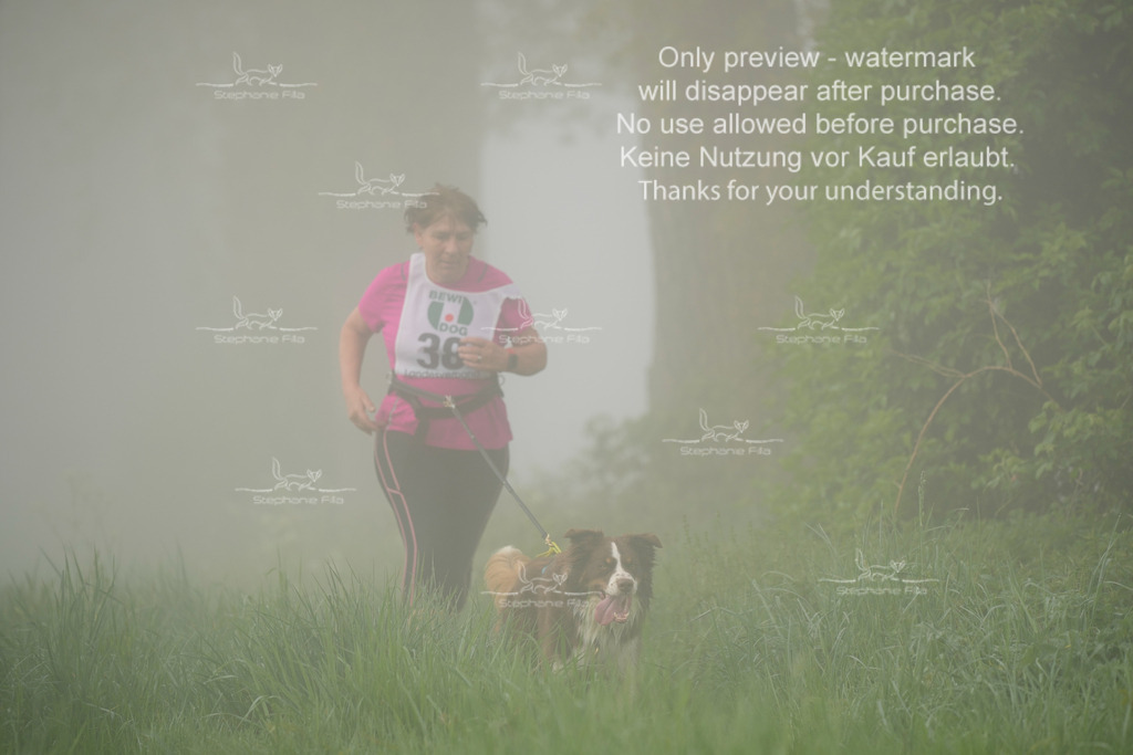 SA_GL2-225 | stephaniefillaphotographie - Realisiert mit Pictrs.com