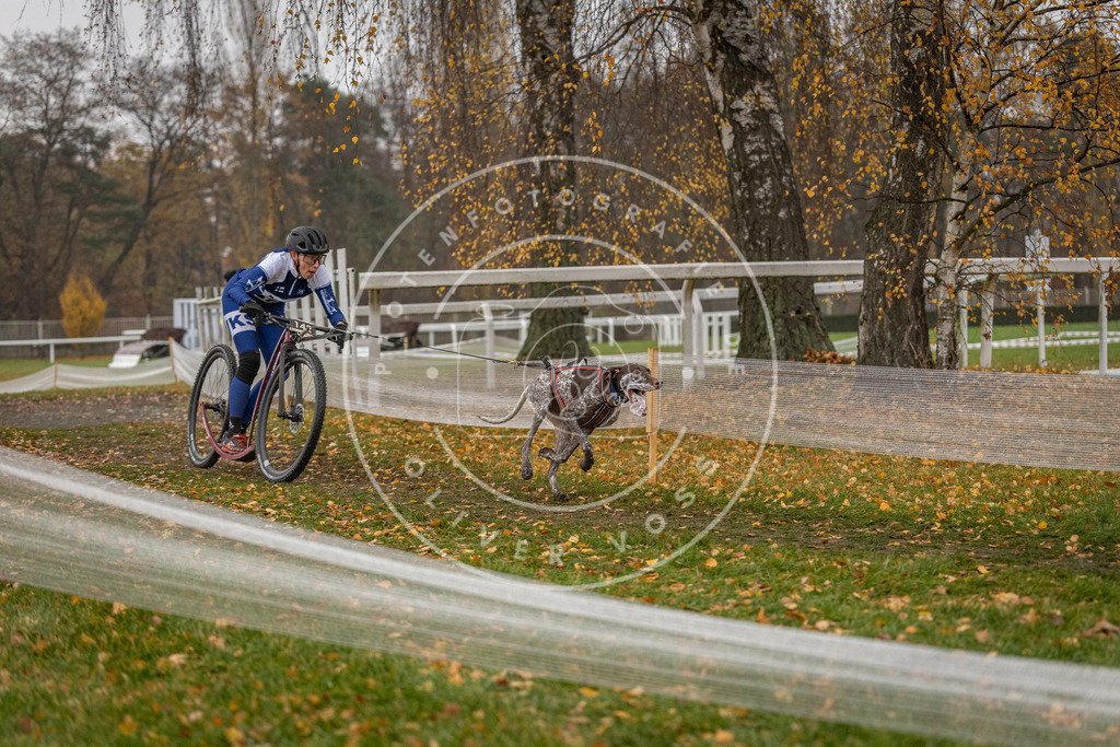 CaniXpix_DV3A7944 | Hundefotografie, Tierfotograf, Pfotenfotografie, Fotoshooting Hund, Hunde Portrait, Hundesport, Hundeportraits, Heideshooting, Hunde, Sportfotograf, Hundefotograf, Turnierhundsport, THS,  - Realisiert mit Pictrs.com