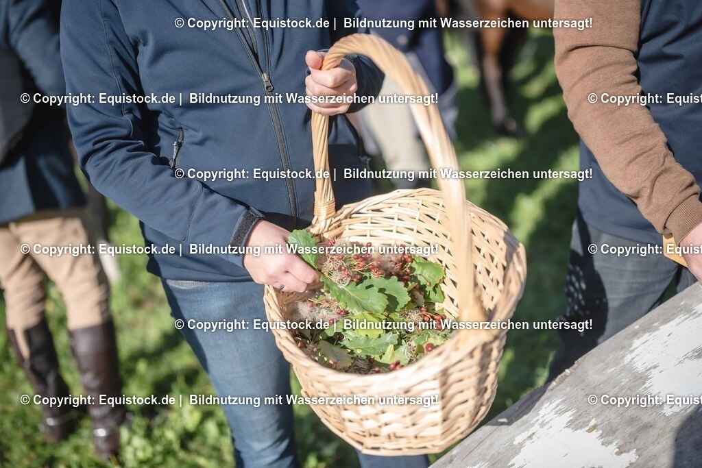 20251011_Jagd-Marbach_0676 | Foto: Thomas Hartig