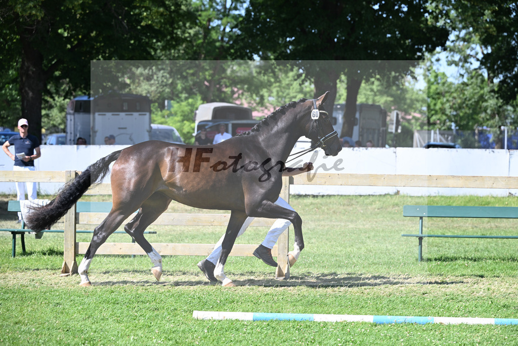 Kat-Nr. 60 Carla v. Bach_Niedermair_19251116 | hf-fotografie - Realizzato con Pictrs.com