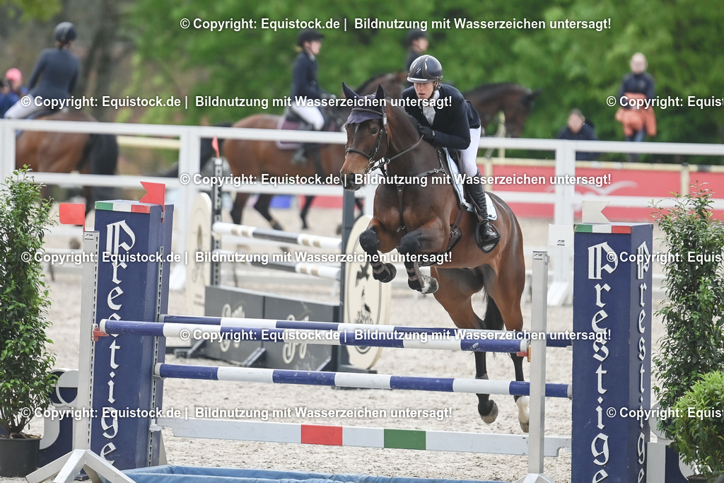20230514_CCI2_Section1_Springen_0038 | equistock
