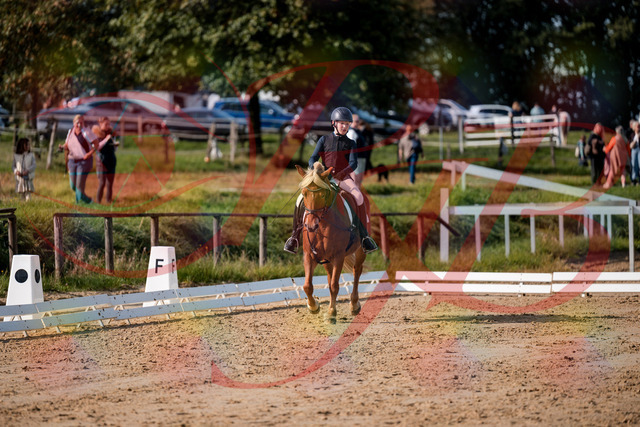 2026_10_03_Siefer-Hof_120100_Z63_32825538 | Professionelle Reitsport-, Turnier- und Eventfotografie von Robert Broda. Galerien mit ausgewählten und bearbeiteten Bildern direkt online ansehen und bestellen.