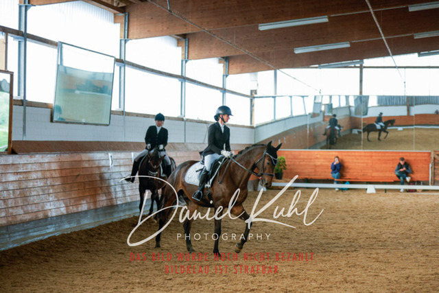 _62_6202 | Turniersportfotografie; Pferdefotografie; Dressurfotografie