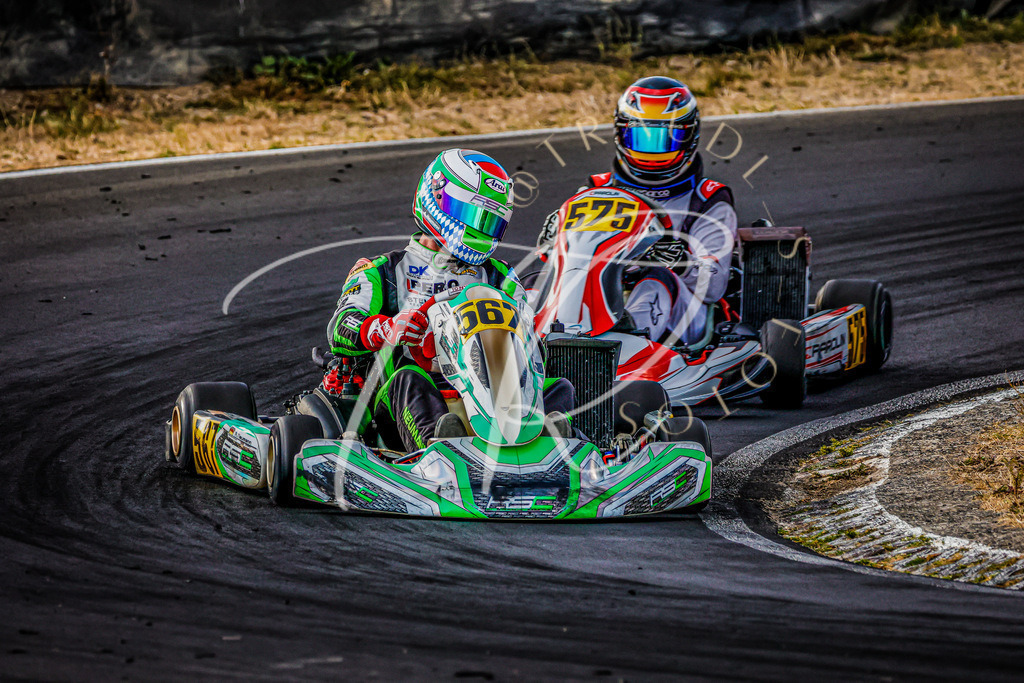 3A31B7F8-4154-49B4-8770-DBF86E6840B7 | traudl_s_fotos